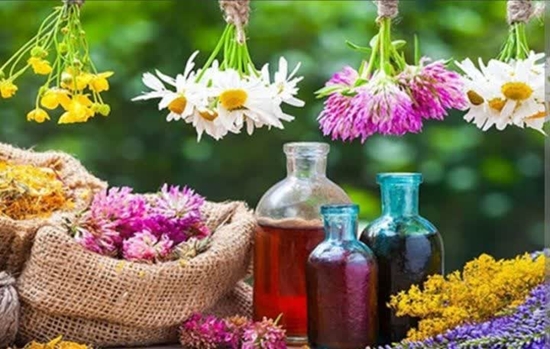 داروهای گیاهی 